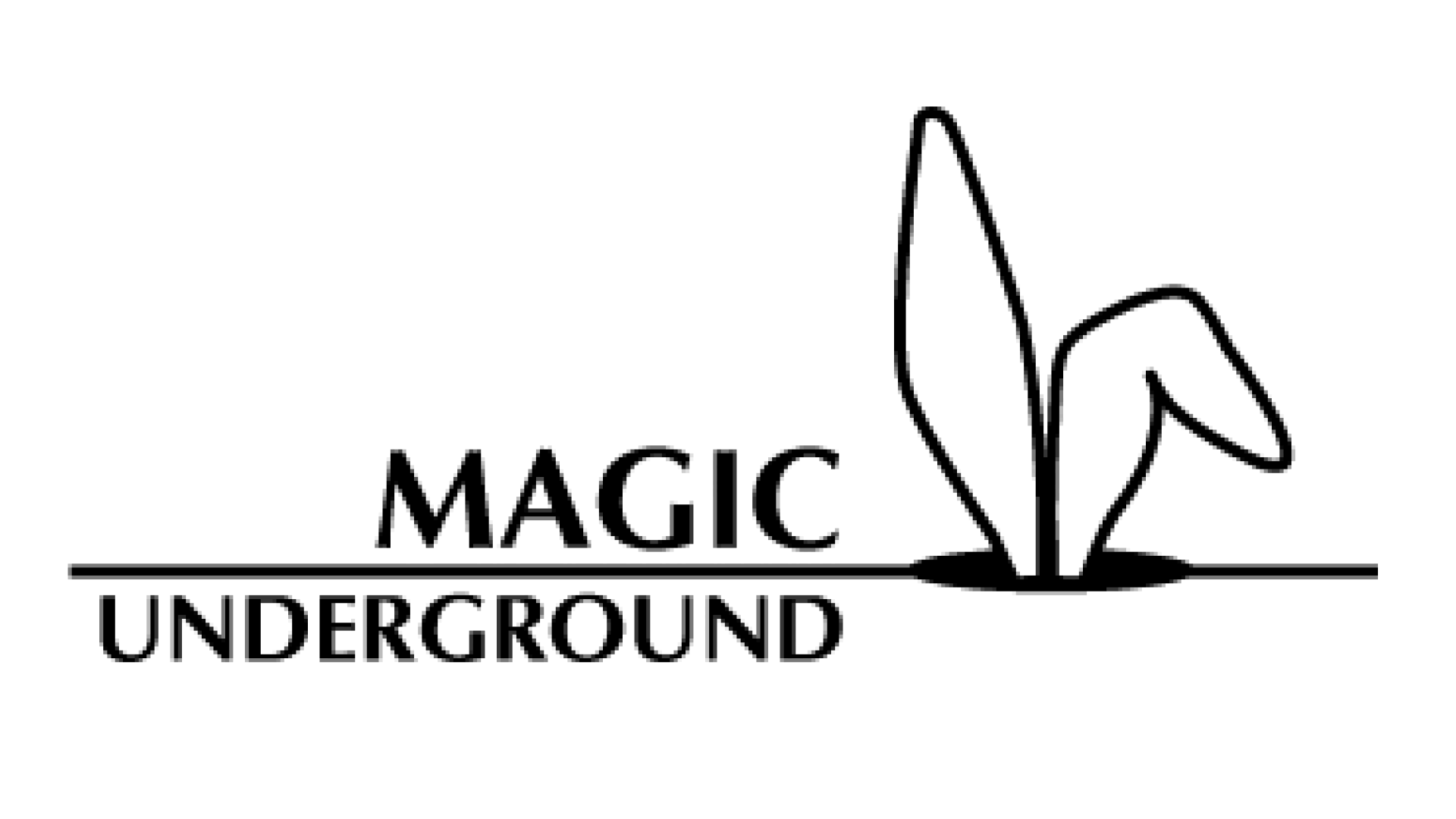 Magic Underground- Magic Tricks and Secrets / Original Routines For Magicians